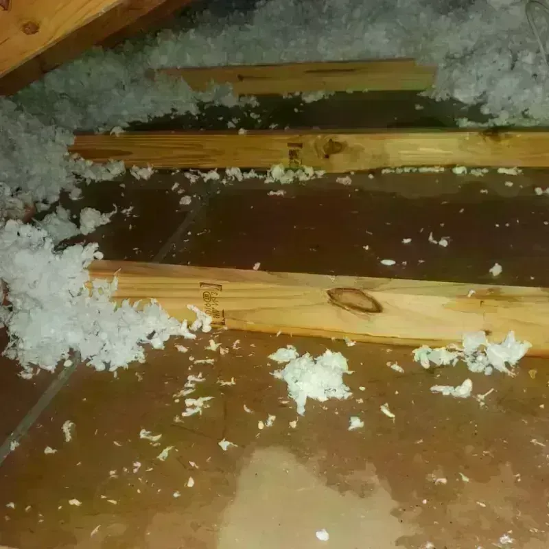 Attic Water Damage in New Milford, NJ